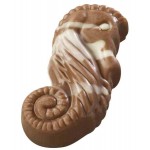 Seashell